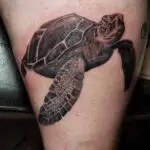 Sea Turtle Tattoo
