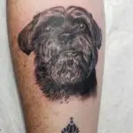 Pet Portrait Tattoo