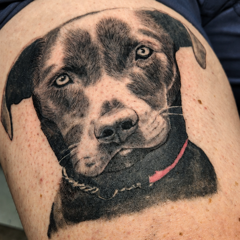 Black & Grey Dog Portrait Tattoo