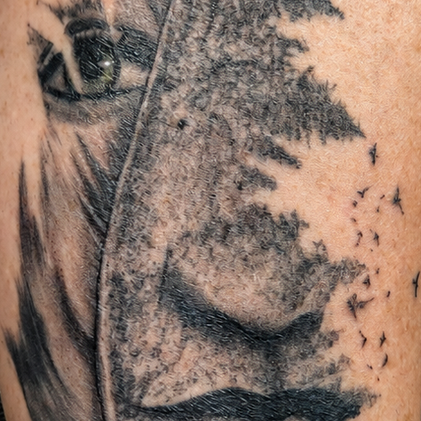 Black & Grey Feather, Forest & Portrait Tattoo